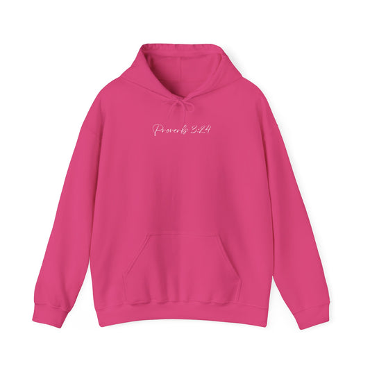 Proverbs 3:24 Hoodie