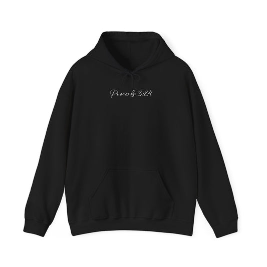 Proverbs 3:24 Hoodie